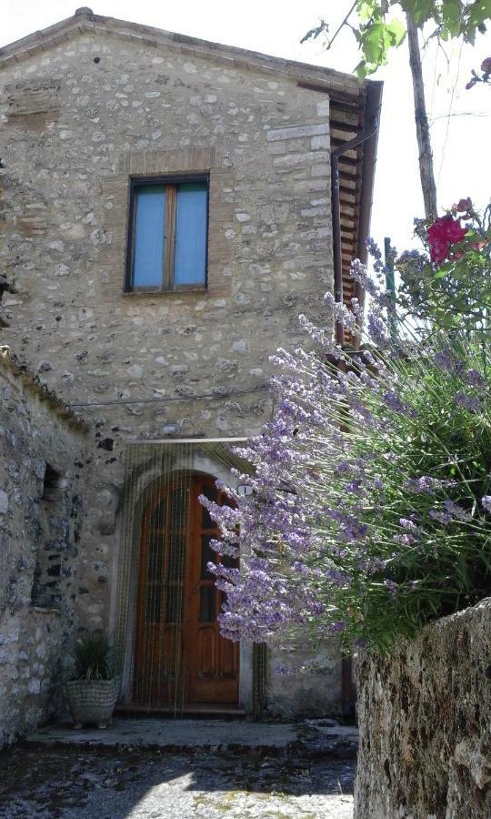 Agriturismo Terramia Meggiano Esterno foto